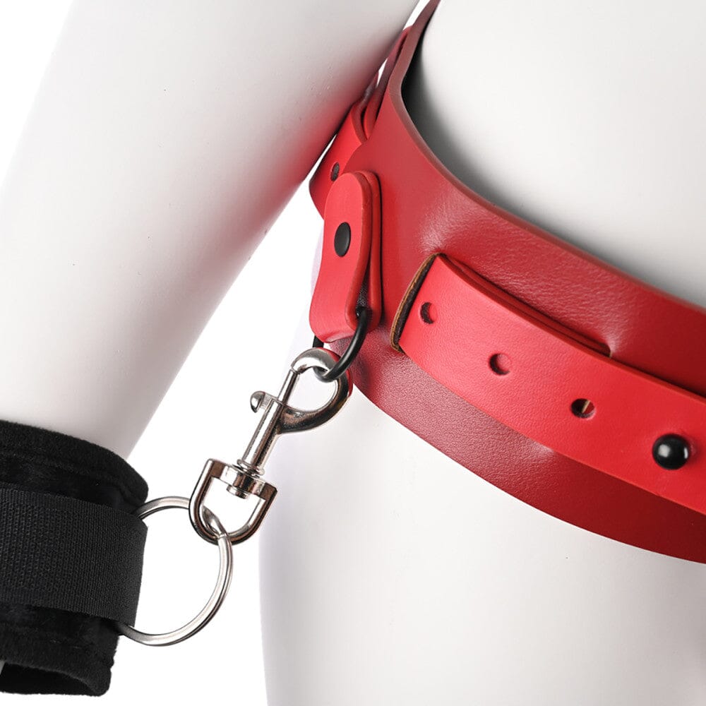 S&M Ex's & Oh's Bound and Belted Restraints Sportsheets