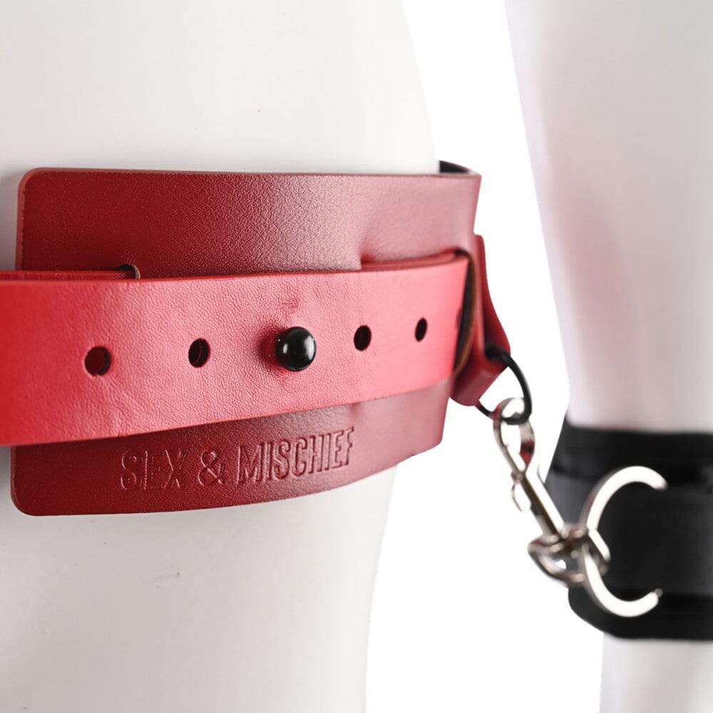 S&M Ex's & Oh's Bound and Belted Restraints Sportsheets