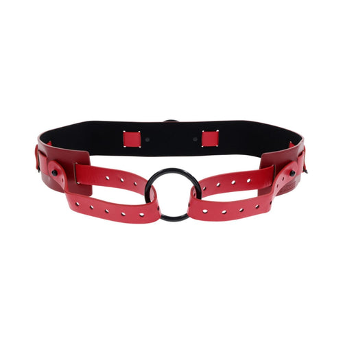 S&M Ex's & Oh's Bound and Belted Restraints Sportsheets