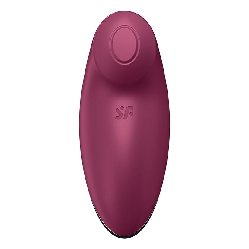 Satisfyer Tap and Climax 2 Vibrator Satisfyer