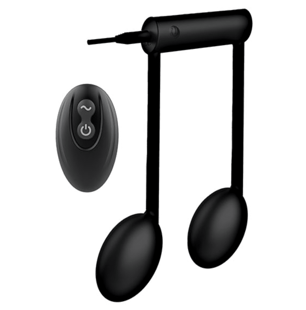 The Beat Remote Note Vibe Vibrator Nass Toys