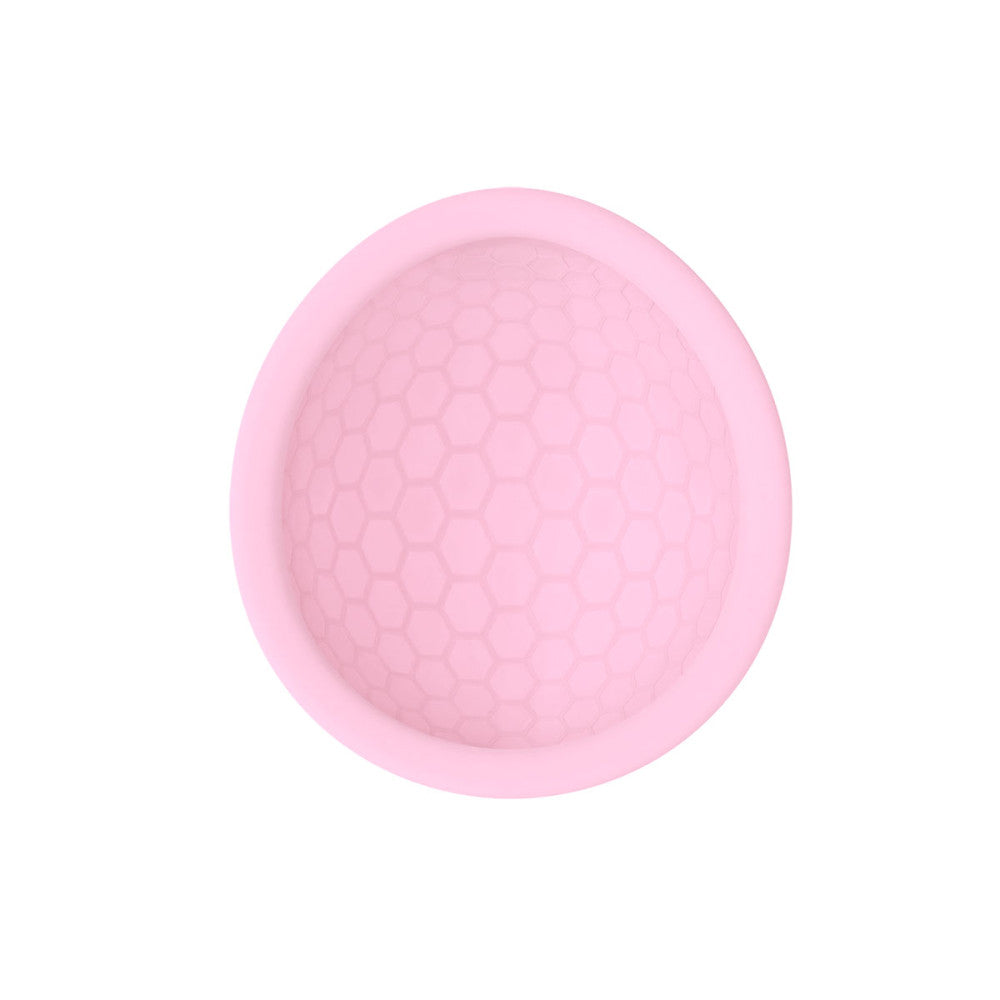 Ziggy Cup 2 Menstrual Disc Cup Menstrual Cups Intimina