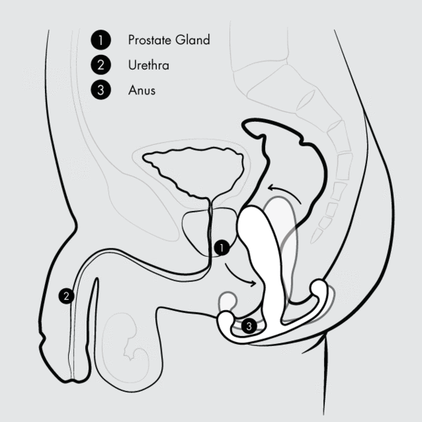 Eupho Syn Trident Prostate Massager Butt Plug Aneros