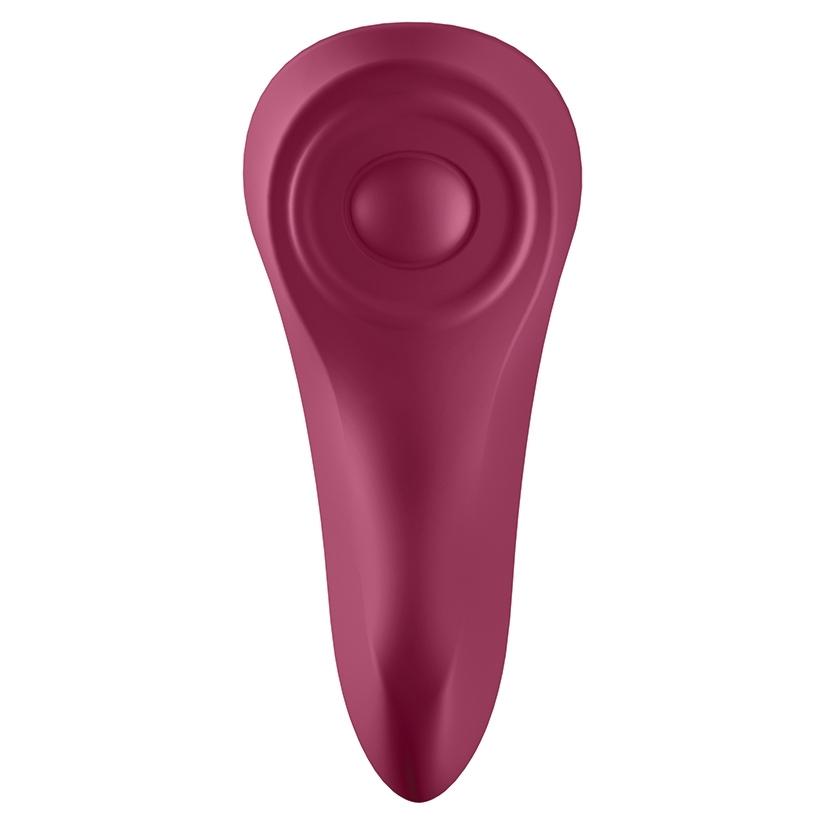 Sexy Secret Panty Vibrator Vibrator Satisfyer