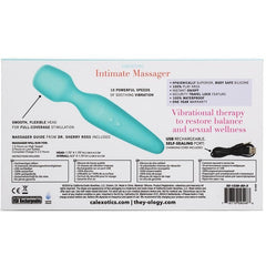 They-Ology Intimate Mini-wand Massager Vibrator Cal Exotics 