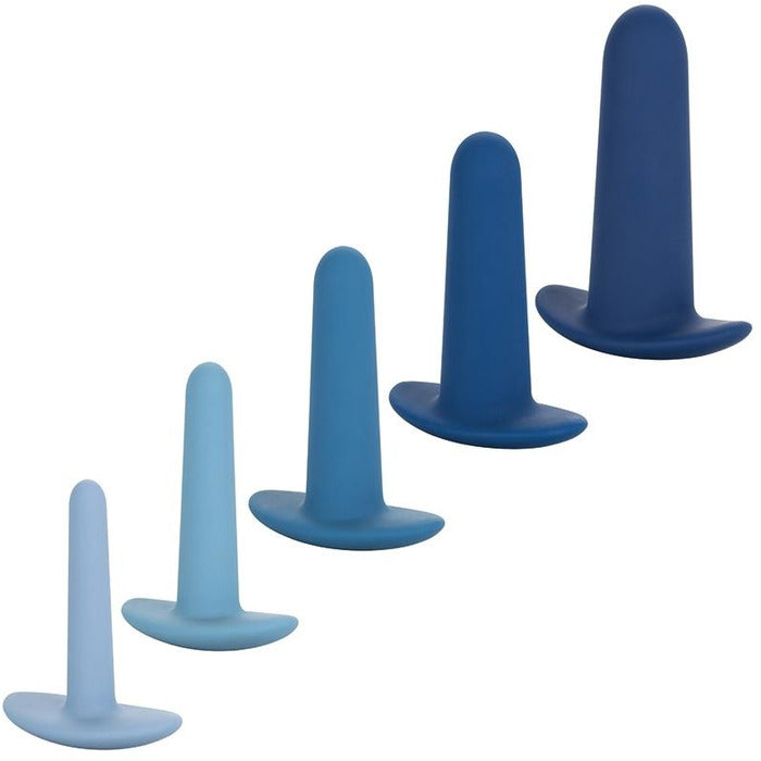They-Ology 5-Piece Wearable Anal Training Set