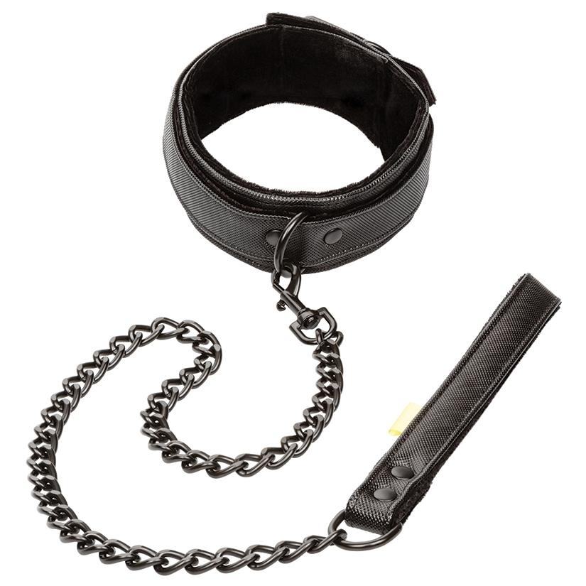 Boundless Vegan Collar with Leash