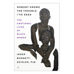 Nobody Knows the Trouble I've Seen: The Emotional Lives of Black Women Book Amistad Press 