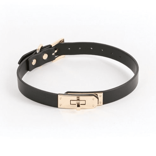 Fetish & Fashion Taboo Sadie Collar Collar NS Novelties Black 