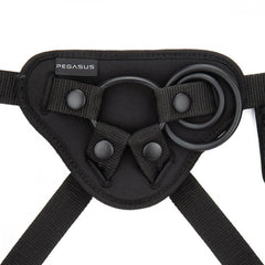 6" P-Spot & G-Spot Harness and Dildo Kit Harness kit Pegasus 