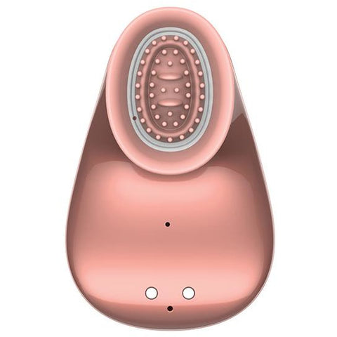 Rose Rabbit Air Pressure & Thrusting Vibe