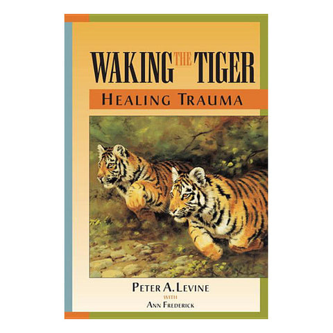 The Politics of Trauma: Somatics, Healing, and Social Justice