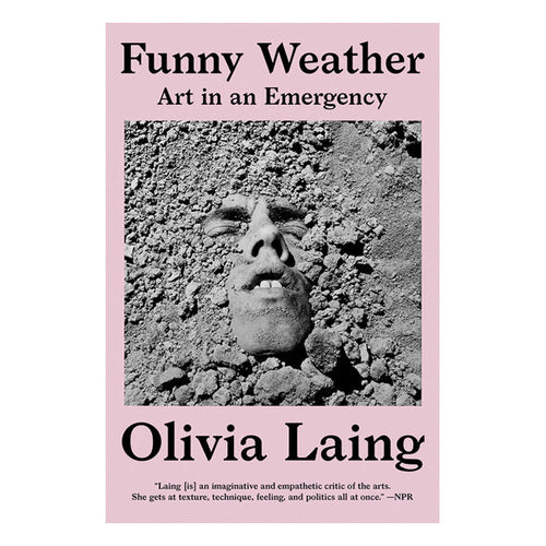 Funny Weather: Art in an Emergency Book W. W. Norton & Company 