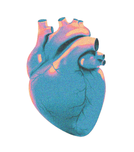 Heart Icon